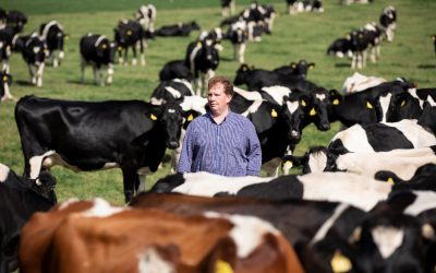 High Yield and Quality is Essential in Co. Tipperary