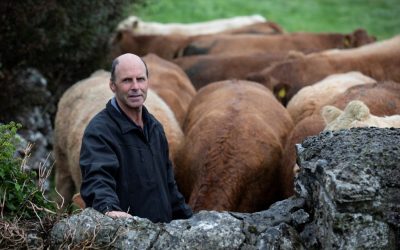Excellent yields and return on fodder in Co. Galway