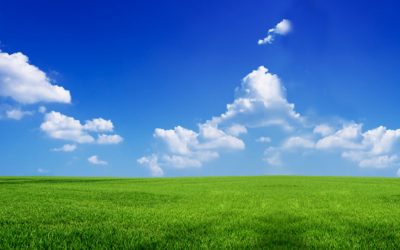 Mid-Season Grass Management