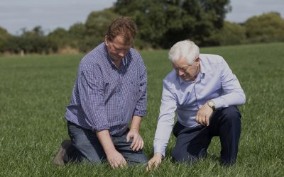 Planning for a successful reseeding period