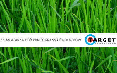 Use of CAN (27%) and Urea (46%) for Early Grass Production