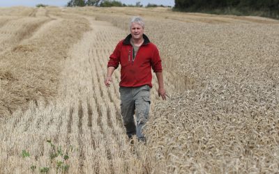 NPK Application on Tillage Crops