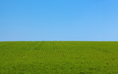 Planning your chemical fertiliser application prior to the closing period