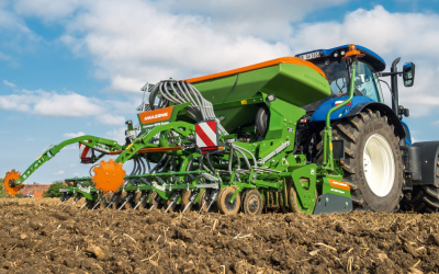 7 steps to success when reseeding this autumn