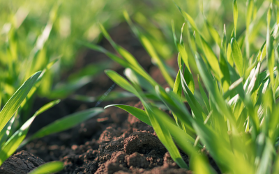 Nutrient Management – What is it and why should we do it?