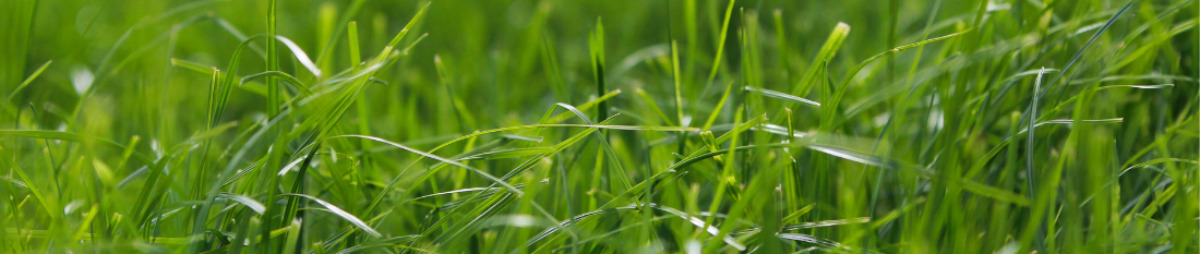 Banner for Target fertilisers grassland webpage