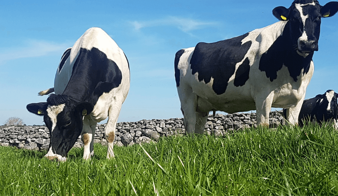 Introducing Terra fertilisers on your farm